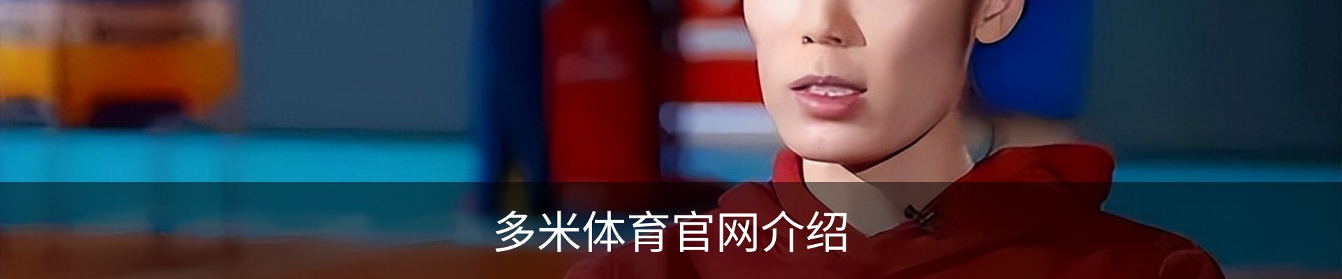 多米体育官网介绍